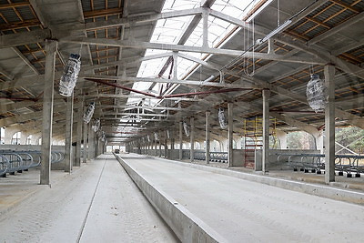 Три крупных животноводческих комплекса строят в Брестском районе