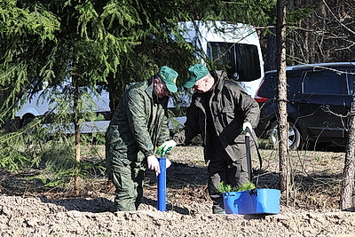 К акции \"Дай лесу новае жыццё\" присоединились представители Могилевского облисполкома