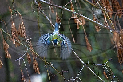 ФОТОХРОНИКА начинает новый информационный день