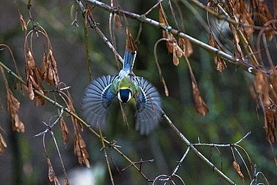 ФОТОХРОНИКА начинает новый информационный день