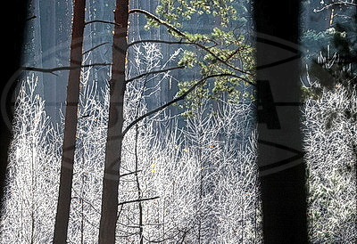 ФОТОХРОНИКА начинает новый информационный день