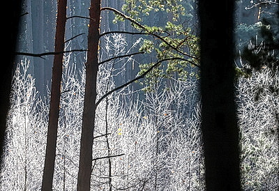 ФОТОХРОНИКА начинает новый информационный день