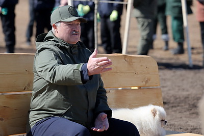 Лукашенко во время субботника высадил деревья в парке Народного единства