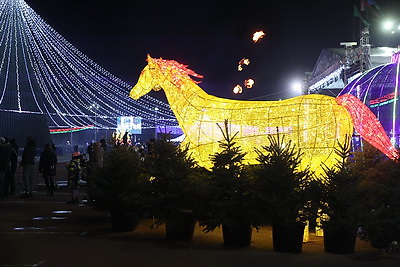 В Гомеле зажгли огни на главной елке региона