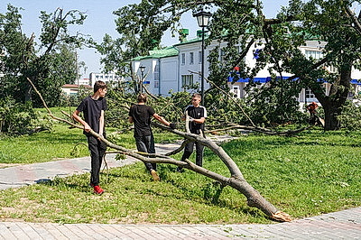 К ликвидации последствий грозового фронта в Могилевской области привлечены дополнительные ресурсы и силы