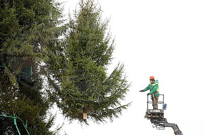 Пиксельные панно и три километра гирлянд. В Витебске идет монтаж главной новогодней елки