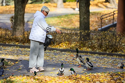 Золотые краски осени