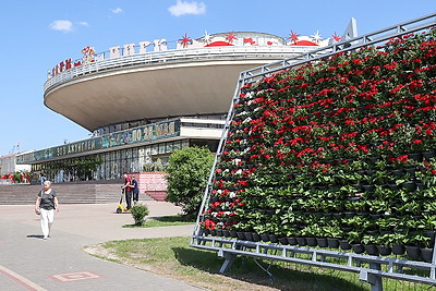 Около 700 тыс. цветов высадят в Гомеле с наступлением теплых дней