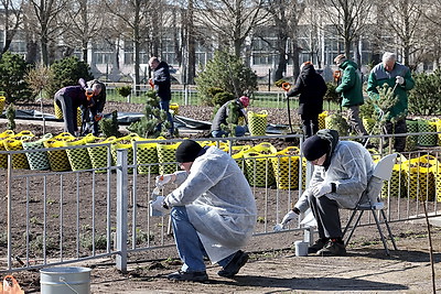 Республиканский субботник: члены Президиума Совета Республики высадили деревья в Ботаническом саду