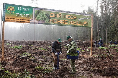 Вольфович: приумножая природное богатство, мы укрепляем экологическую безопасность страны
