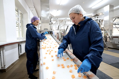 До 95% продукции на экспорт. Как в Бешенковичах работает белорусско-китайская кондитерская фабрика