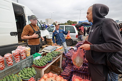 Сельскохозяйственные ярмарки стартовали в Минске