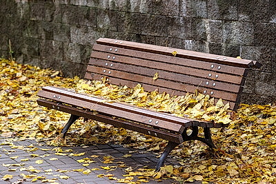 ФОТОХРОНИКА начинает новый информационный день