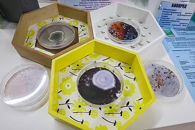 Белорусские ученые создают инновационные препараты для медицины и сельского хозяйства