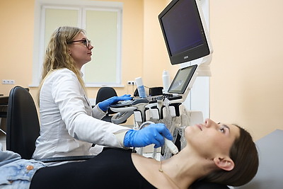 Здравоохранение Беларуси. Оказание первичной медицинской помощи