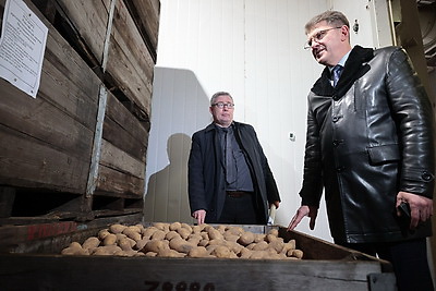 В Минске в стабфонды заложено 43 тыс. тонн овощей и яблок