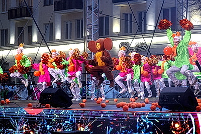 Огни зажгли на главной елке Бреста