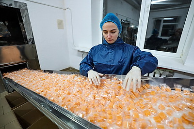 \"Людям нужна хорошая работа\". Кочанова о приоритетах развития Витебской области в будущей пятилетке