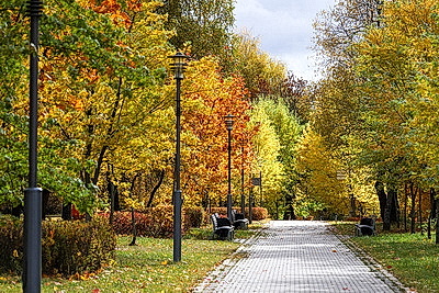 Золотая осень в Беларуси
