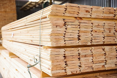 Производства по выпуску поддонов намерены наладить в Дрогичинском и Лунинецком лесхозах