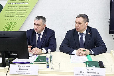 Завершить разработку ветроломов и восстановить лес после июльского урагана. Сроки и объемы обсудили в Жлобине