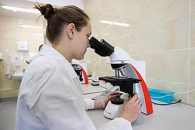 Здравоохранение Беларуси. Оказание первичной медицинской помощи