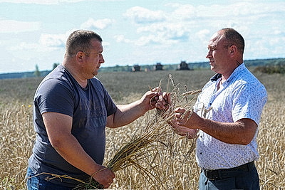 Уборка зерновых в Бешенковичском районе