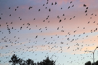 ФОТОХРОНИКА начинает новый информационный день