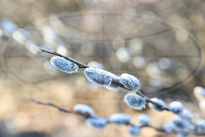 ФОТОХРОНИКА начинает новый информационный день