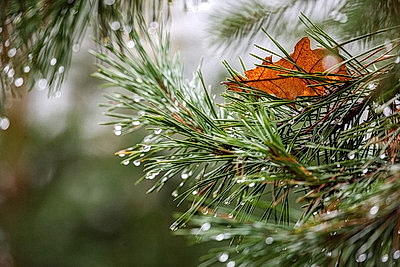 ФОТОХРОНИКА начинает новый информационный день