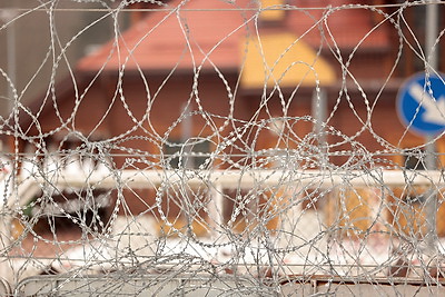 Представители международных организаций оценили влияние польского забора на Беловежскую пущу