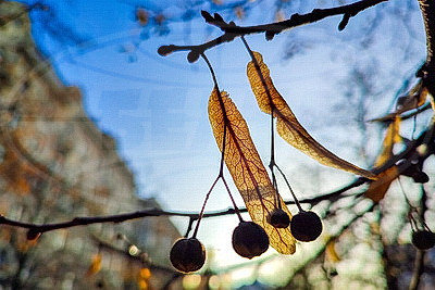 ФОТОХРОНИКА начинает новый информационный день