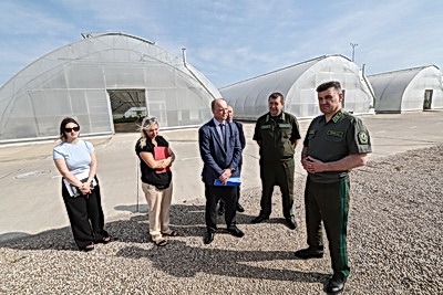 От семечка до зеленого богатства страны. Кто выращивает саженцы для будущих лесов Беларуси