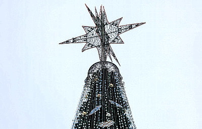 В столице украшают главную новогоднюю елку