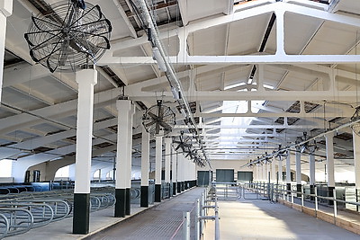 Благоустройство территорий под ключ и развитие АПК. В Гомельской области представили планы на пятилетку