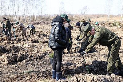 Для будущих поколений. Акция \"Дай лесу новае жыццё!\" стартовала в Жлобинском районе