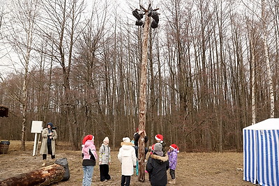 Обновленную въездную браму открыли в Беловежской пуще