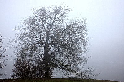 Густой туман окутал Гродно