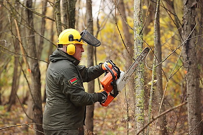 Республиканский субботник проходит в Минске