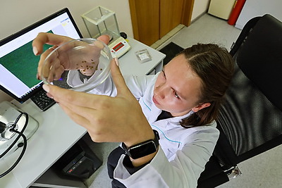 Белорусские ученые создают инновационные препараты для медицины и сельского хозяйства