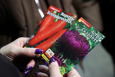 Жилье, работа, услуги, досуг. Решение каких вопросов важно для сельской молодежи