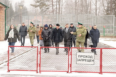 Представители международных организаций оценили влияние польского забора на Беловежскую пущу
