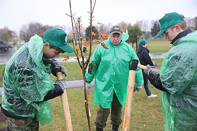 На Кургане Славы на субботнике заложили новый парк в виде крыльев аиста