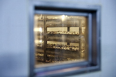 Законопроект по вопросам внешней трудовой миграции должен поступить на рассмотрение депутатов в 2026 году