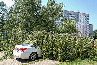 К ликвидации последствий грозового фронта в Могилевской области привлечены дополнительные ресурсы и силы