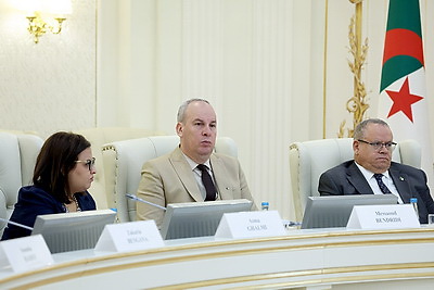 Сборочное производство МАЗ могут создать в Алжире