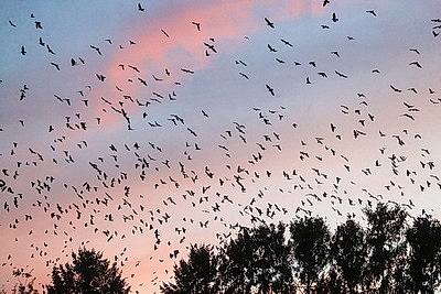 ФОТОХРОНИКА начинает новый информационный день