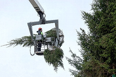Пиксельные панно и три километра гирлянд. В Витебске идет монтаж главной новогодней елки