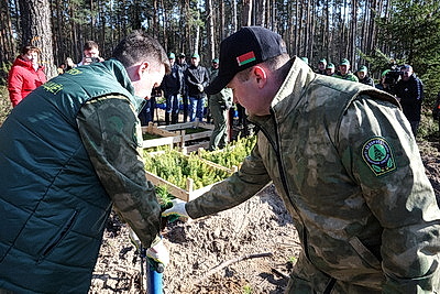К акции \"Дай лесу новае жыццё\" присоединились представители Могилевского облисполкома