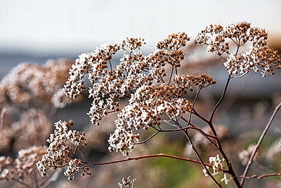 ФОТОХРОНИКА начинает новый информационный день